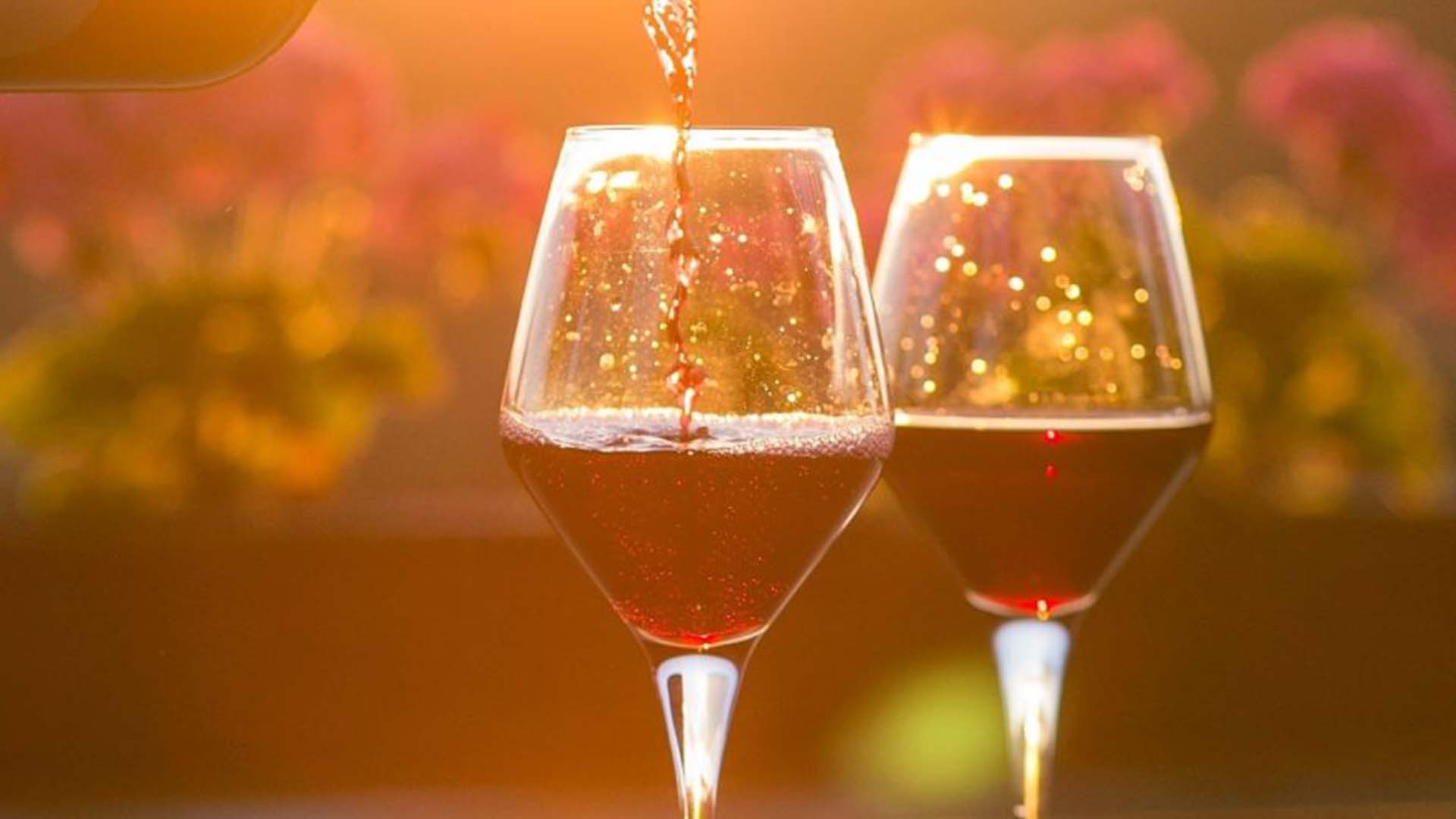Decanter Best – Beste Sommerrotweine zum Trinken gekühlt – Best summer red wines to drink chilled