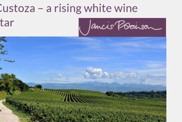 Custoza - a rising white wine star