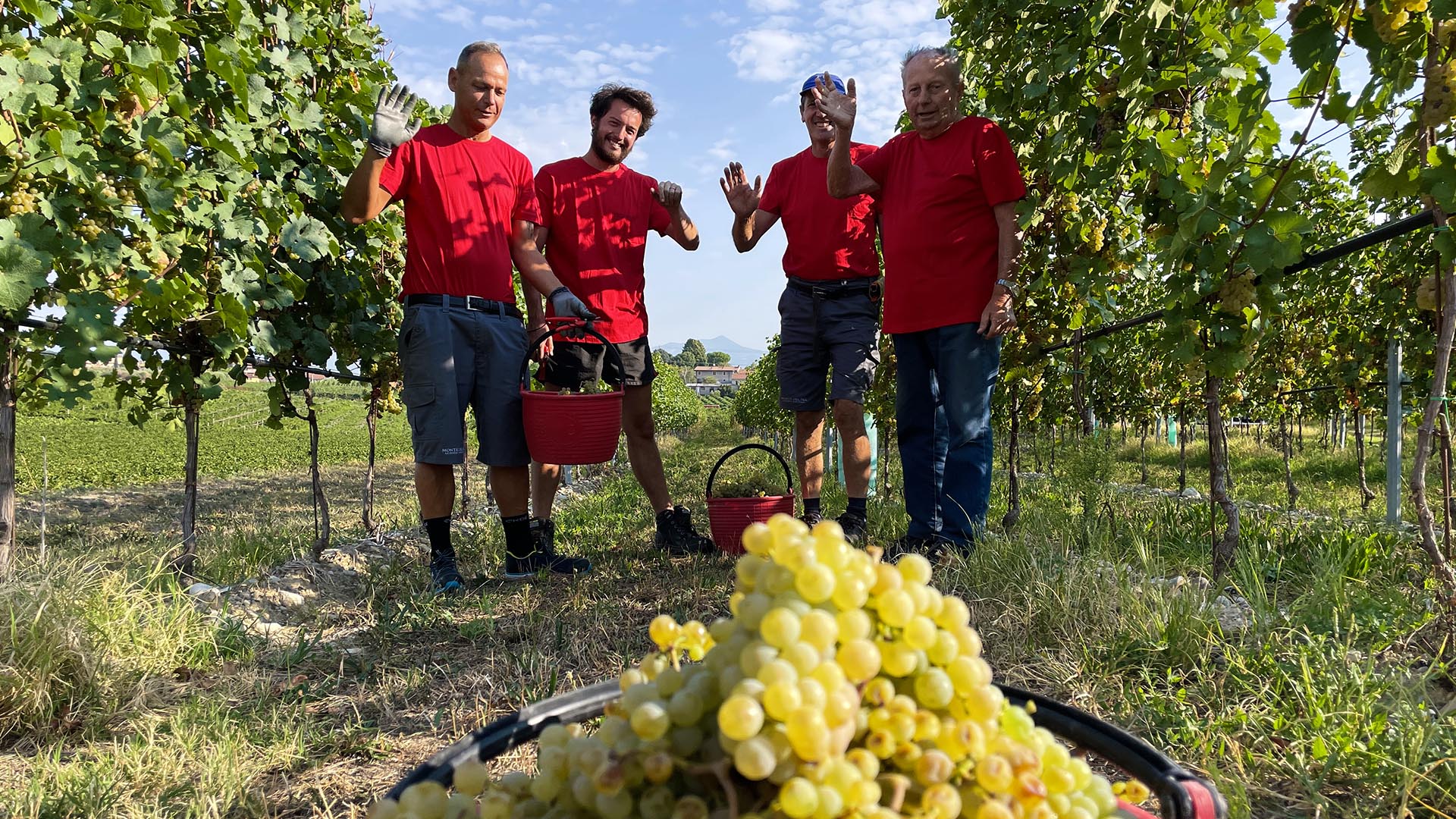 The 2021 Harvest End At Monte Del Frà Winery .  A Look of Behind the Scenes