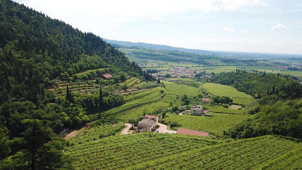 Das Weingut Monte del Frà